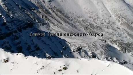 Алтай - земля снежного барса