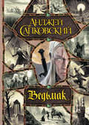Серия книг «Ведьмак»