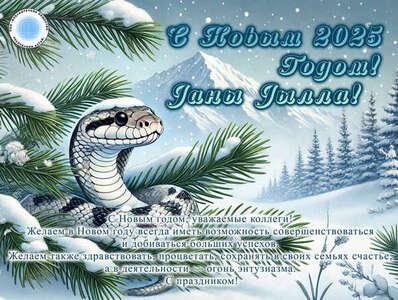 С Новым 2025 Годом!