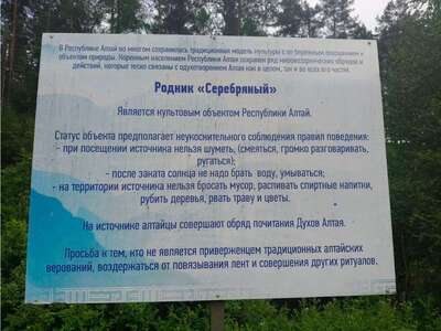 «Серебряный источник» - экологический проект Элекмонарской детской библиотеки